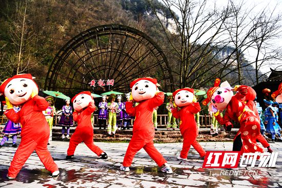 DSC_2950_副本.jpg DSC_2950_副本.jpg