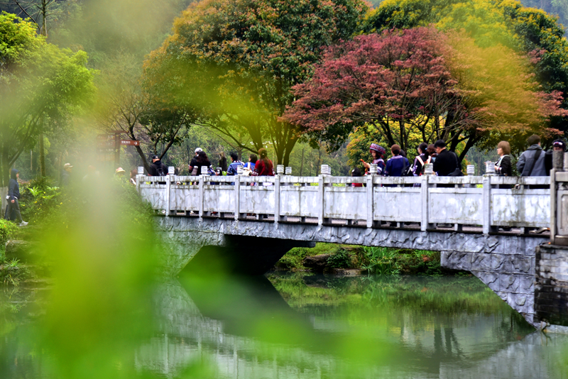 清明游玩黃龍洞，不負(fù)滿園好春光（組圖）